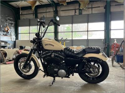 2014 Harley-Davidson Sportster Iron 883 XL883N